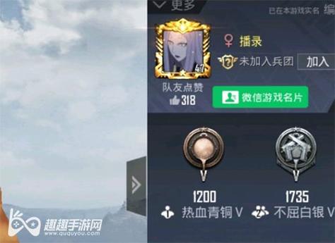 和平精英辅助【火焰鸟直装V6.0终极修复版】射线透视 准星聚点 空投透视 人物变大 显示手持 透视雷达